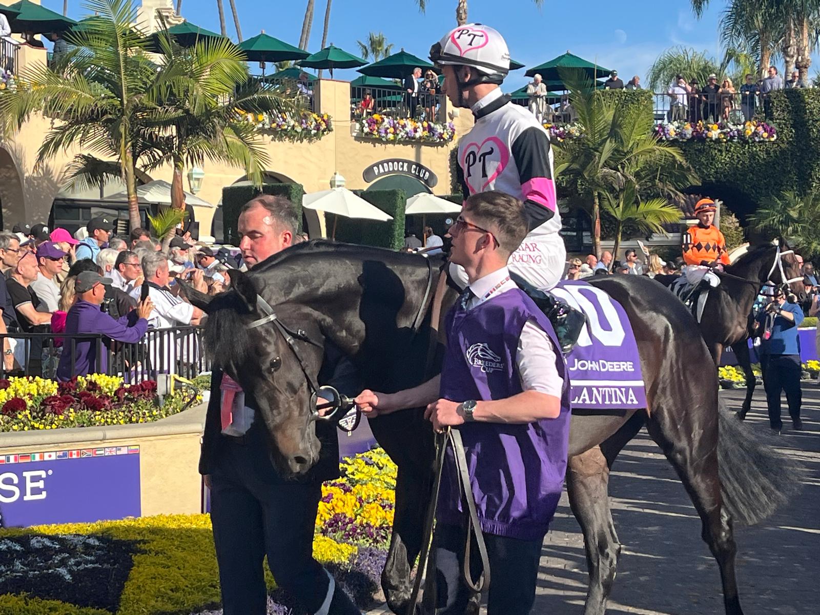 2025-10-31231733-27b4826d-9615-48a5-b1b8-cd9e6f77d54c