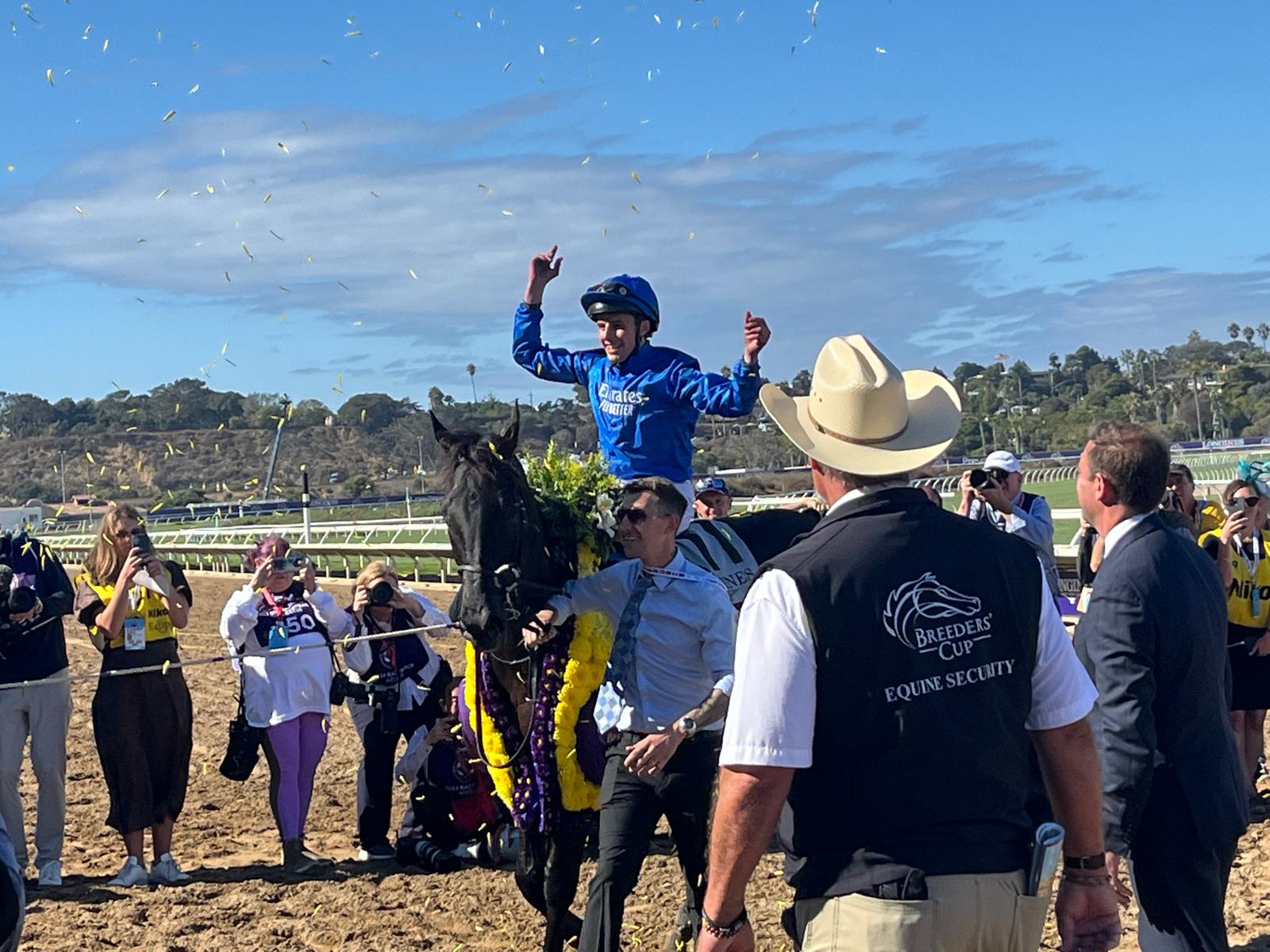 2024-11-02213635-f7151807-002b-4466-a32a-dabab86dff80