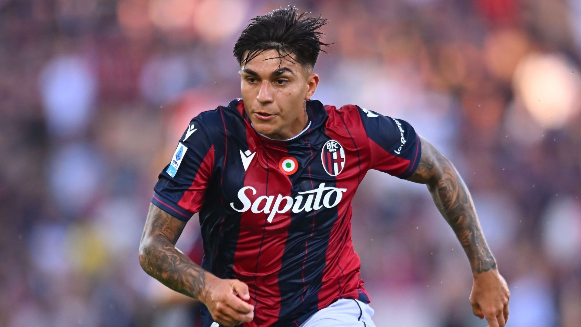 images-v3-bltcb2bdbadd7aa342f-crop-MM5DCOJSGA5DCMBYGA5G433XMU5DAORR-Castro%20Bologna