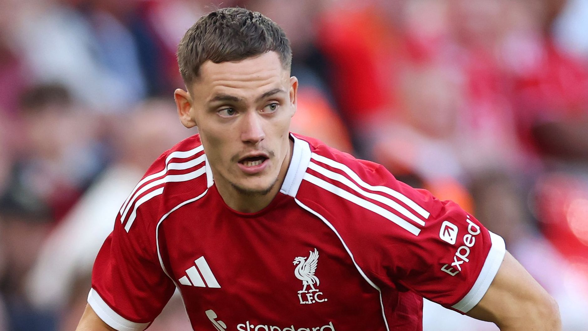 images-v3-getty-2228535050-crop-MM5DCOBXG45DCMBVGY5G433XMU5DCNZRHA5DCMBZ-GettyImages-2228535050