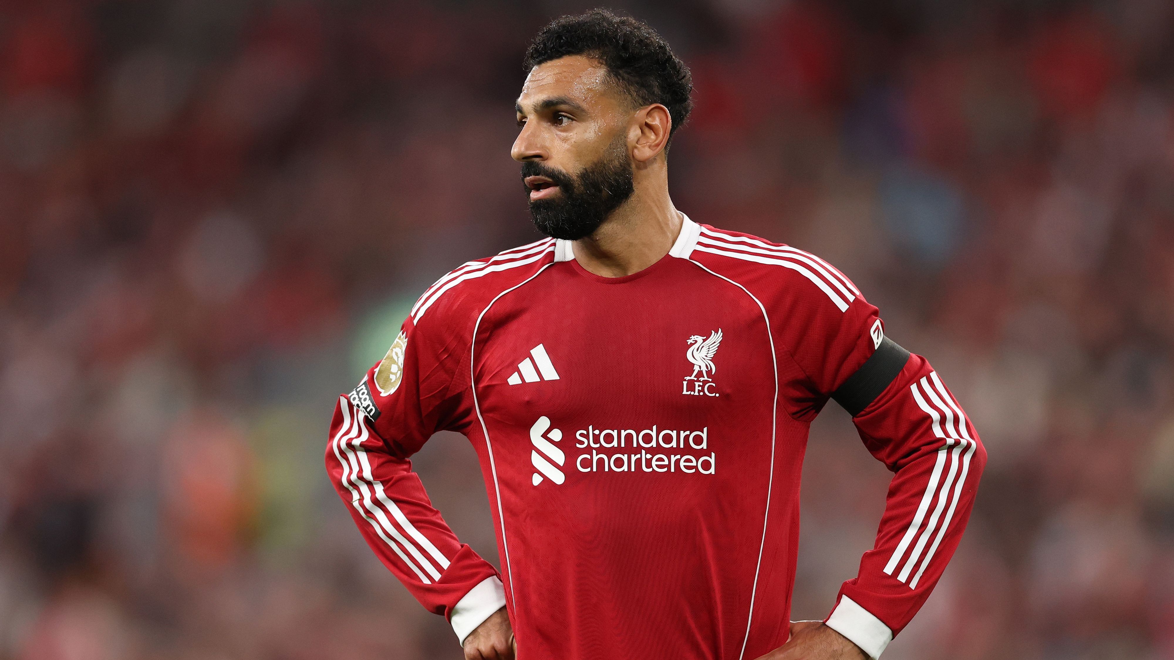 images-v3-getty-2230397829-crop-MM5DIMBQGA5DEMRVGA5G433XMU5DGMZWHI4TO===-GettyImages-2230397829