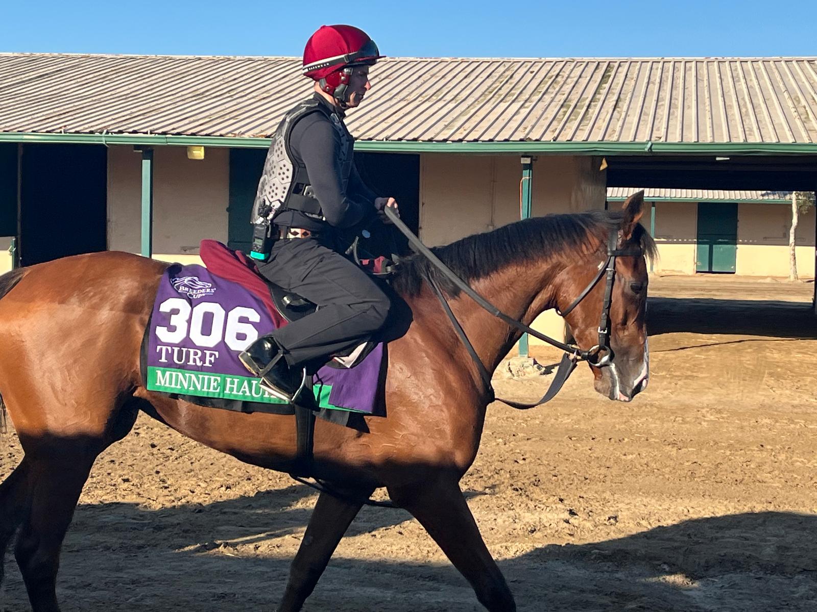 2025-10-31112535-7181d974-2f2c-4f8f-9bfb-a0413904610e