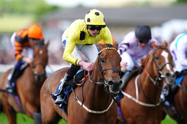 v2-image-production-e36155f3d33e4c568bd134693001543dY29udGVudHNlYXJjaGFwaSwxNzYwMTA3NTQw-2.76066578