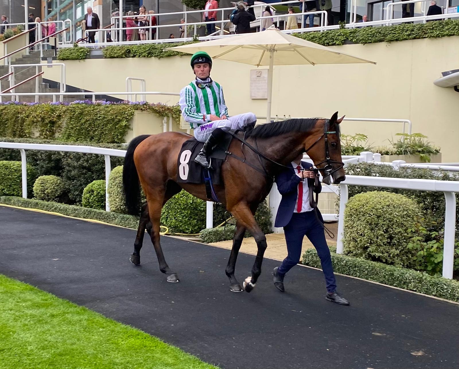 2025-05-16174203-a14cd982-69f4-4e60-8bf3-2556d60913b4