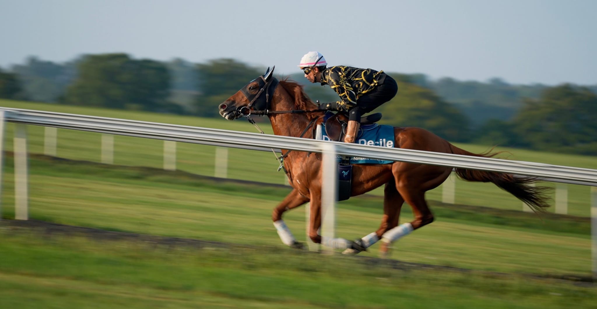 2025-08-08130741-8373990a-419d-46f1-bc0a-c8b9e2782c06