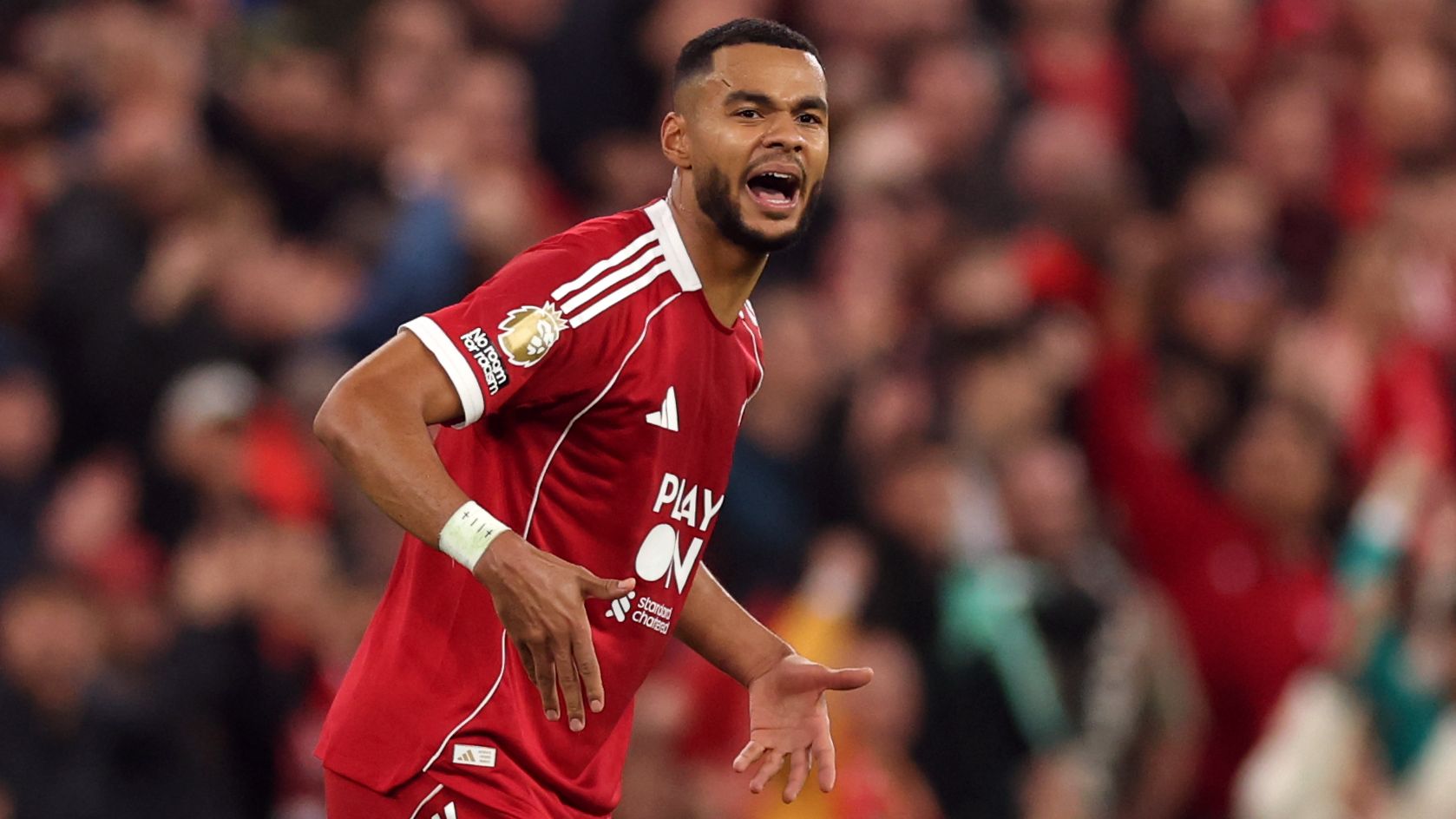 images-v3-getty-2242027959-crop-MM5DCNRXHA5DSNBUHJXG653FHI3TONR2GI4TI===-GettyImages-2242027959