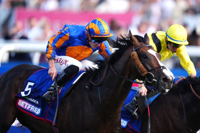 v2-image-production-1d55dd30d5d5c45643a3e7a196edb0e3Y29udGVudHNlYXJjaGFwaSwxNzYxNDA5MjM1-2.81594020