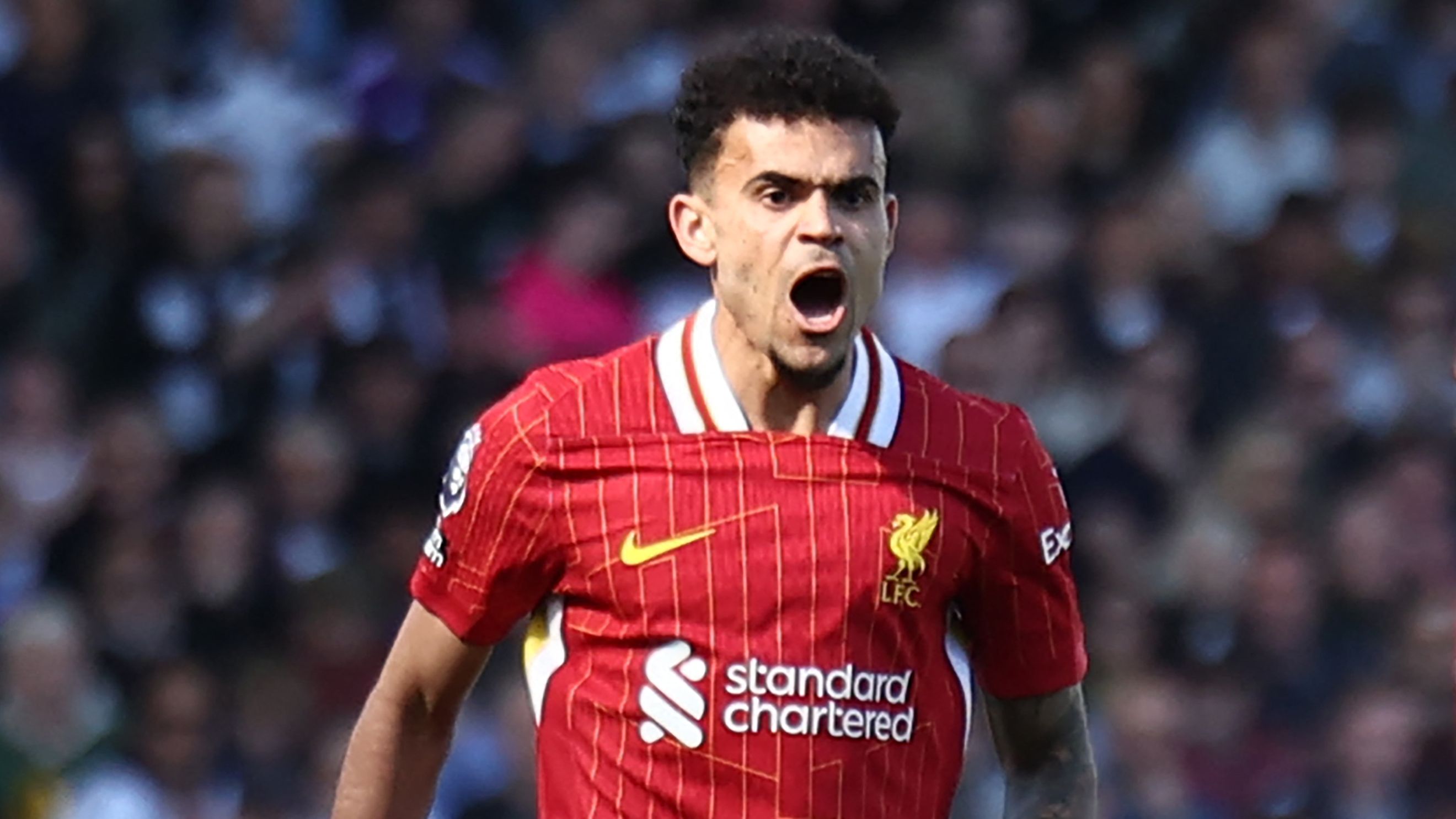 images-v3-getty-2208235951-crop-MM5DENRUGA5DCNBYGU5G433XMU5DCNZWHI2DS===-GettyImages-2208235951