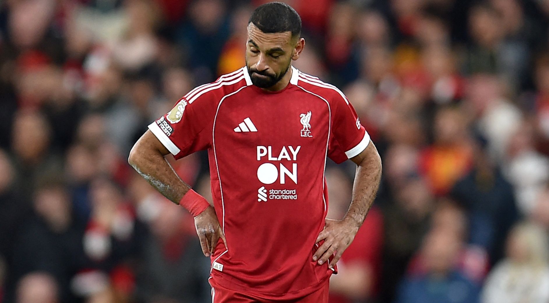 images-v3-blt8d7a5ae599204168-crop-MM5DCOBYGU5DCMBTHE5G433XMU5DGNJ2GQYQ====-3