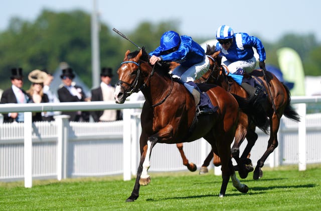 v2-image-production-cf0ed44eb93a01500d1614edd6a0f6ecY29udGVudHNlYXJjaGFwaSwxNzU0NDg5OTM4-2.80705042