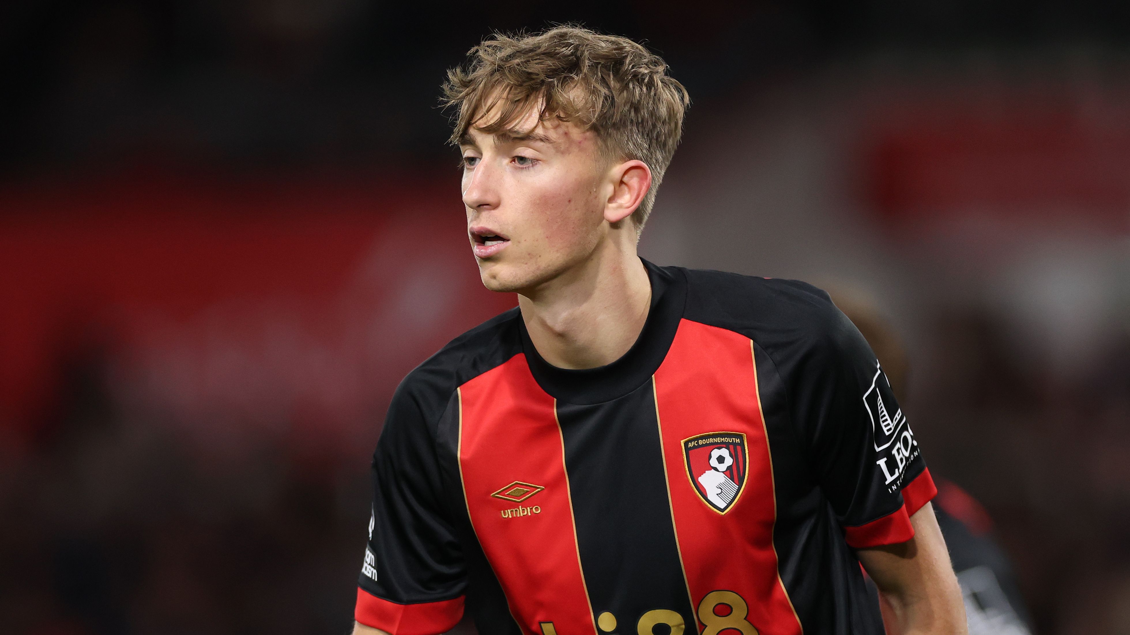 images-v3-getty-2192481859-crop-MM5DGOJSGA5DEMRQGU5G433XMU5DEMJVHI4A====-GettyImages-2192481859