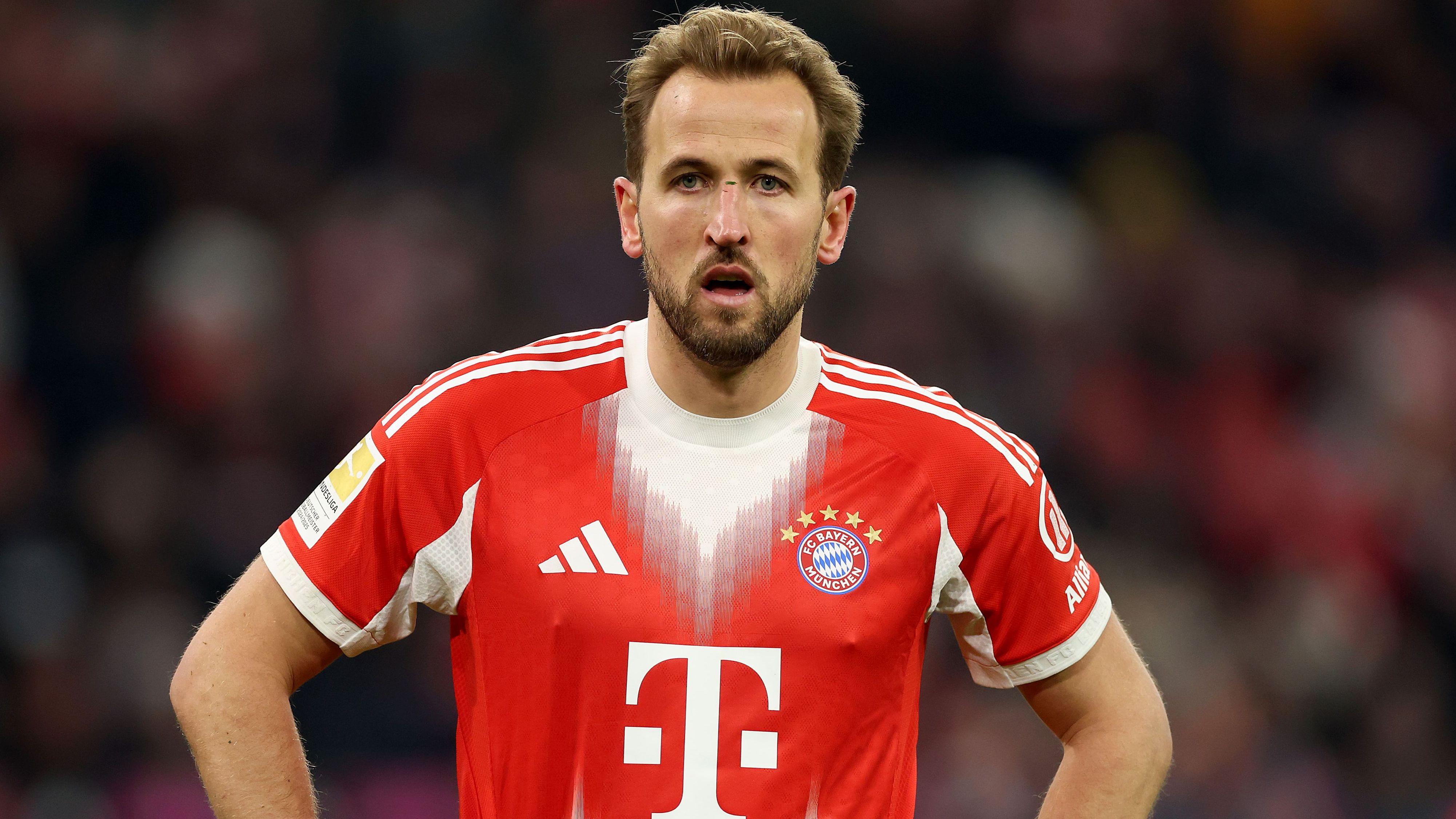 images-v3-getty-2251915745-crop-MM5DIMBQGM5DEMRVGI5G433XMU5DKNRXHIYTAMI=-GettyImages-2251915745