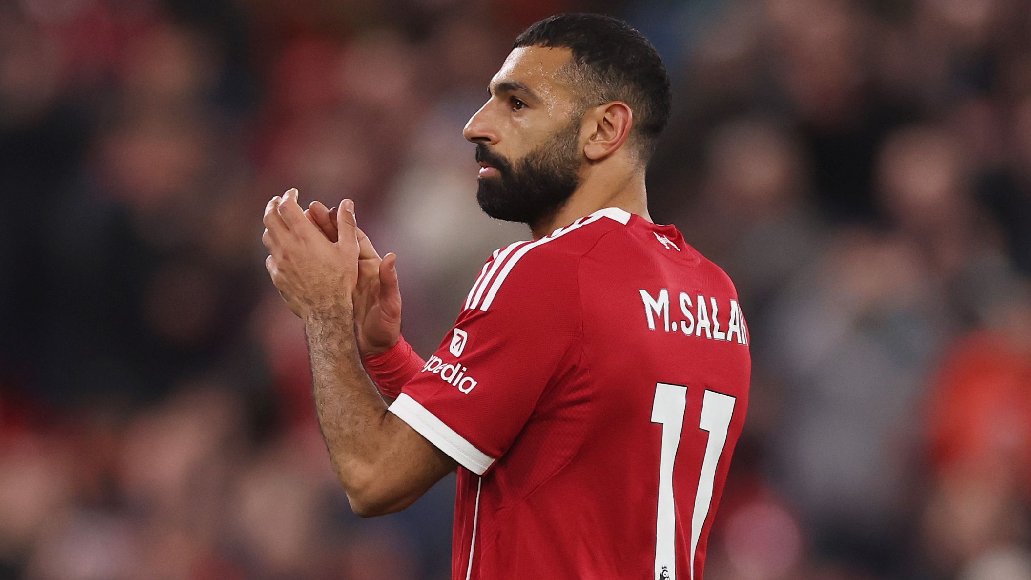 images-v3-getty-2244523351-crop-MM5DEMJRGI5DCMJYHA5G433XMU5DAORRGEYA====-GettyImages-2244523351