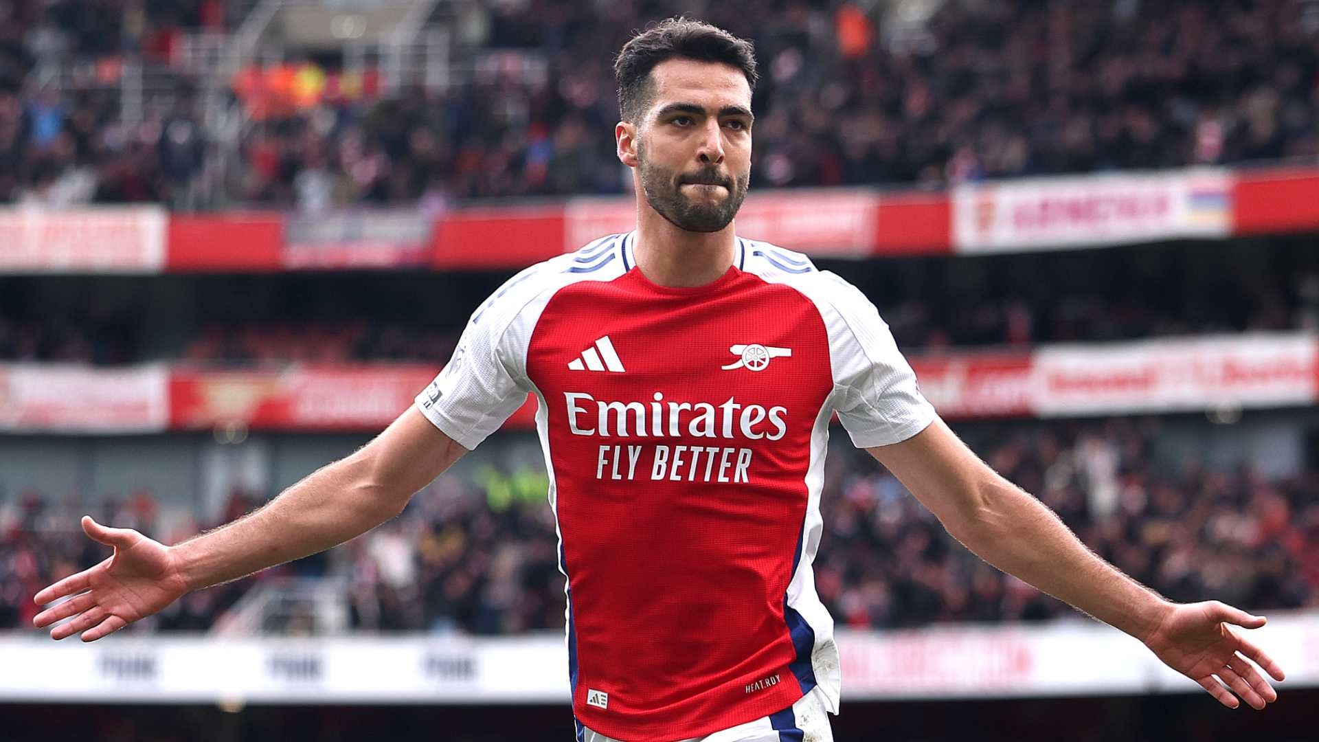 images-v3-blta1c3c5bde4454801-merino