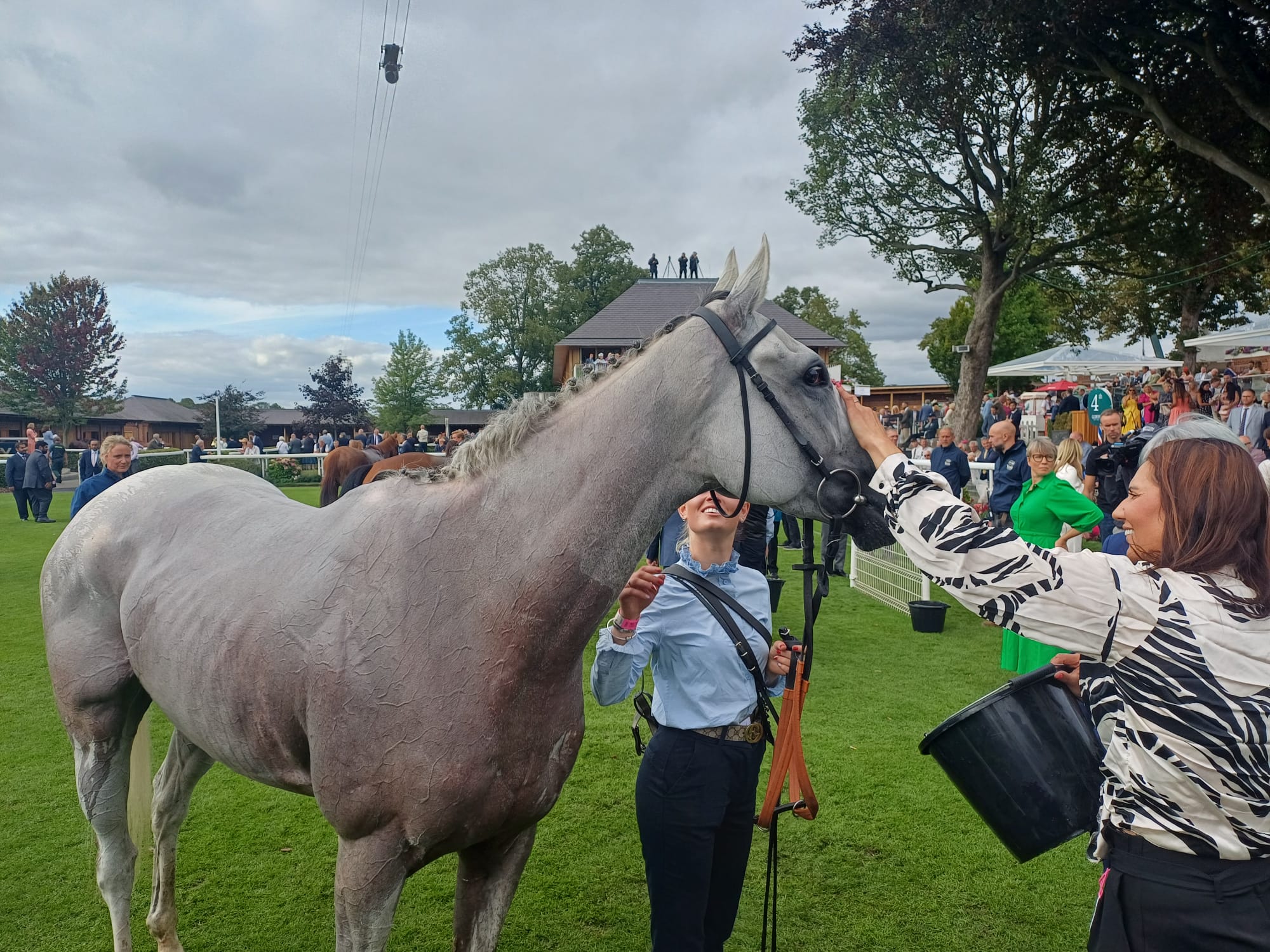 2025-08-21161027-b979082b-4594-4d26-8f9e-f14b819ef504