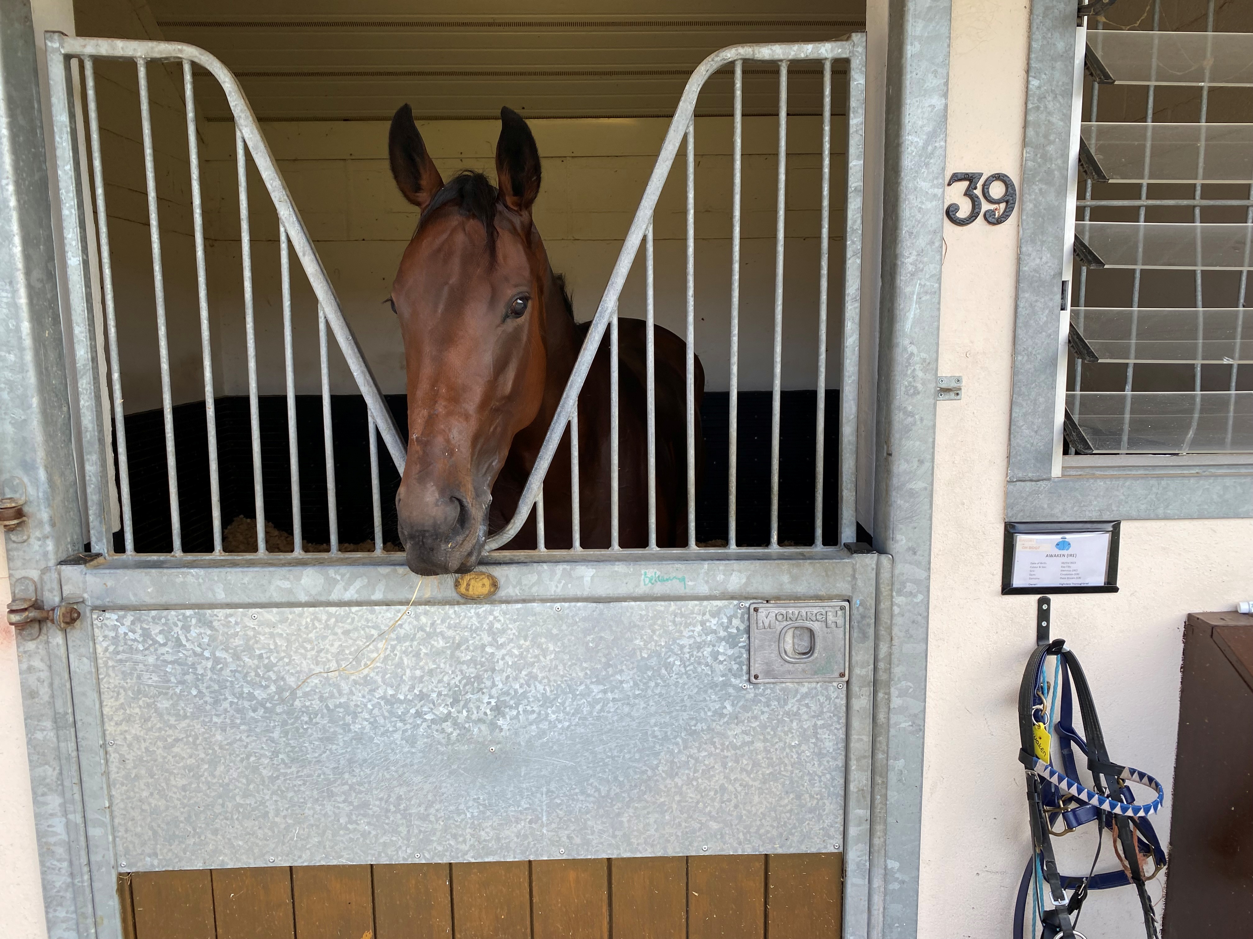 2025-09-24153510-d76b34b7-f54a-4433-ad6b-36f79616d0a5