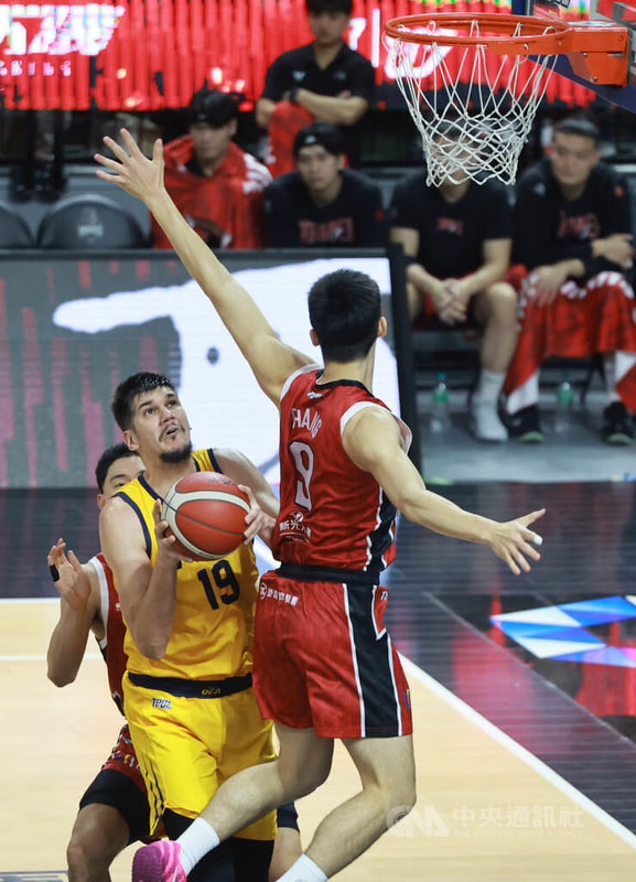 www-WebPhotos-800-20260117-739x1024_wmky_0_C20260117000100