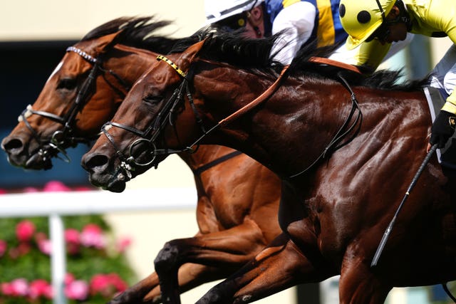 v2-image-production-d7b913318397a78d0bf99f7e3456a540Y29udGVudHNlYXJjaGFwaSwxNzYwNDU3Mzky-2.80690860