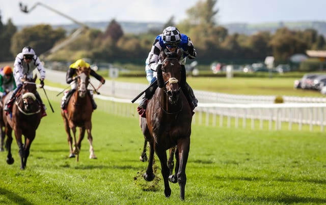 v2-image-production-3c750f24d507649eae8ca5f489be16a8Y29udGVudHNlYXJjaGFwaSwxNzYxNjk4NDc2-2.81609566