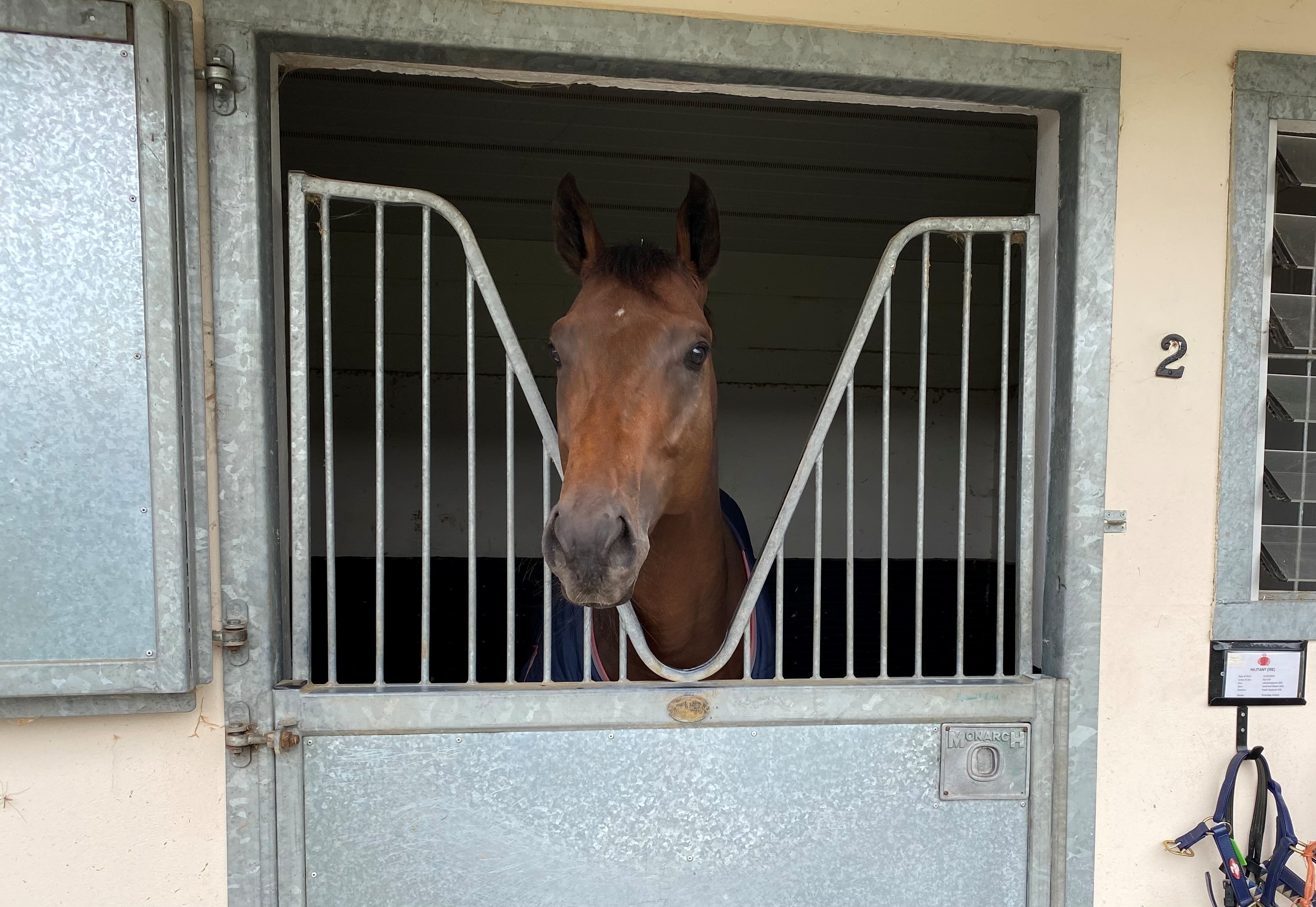 2025-09-25172144-463b5fb8-0c97-4241-8edc-d7a2e80f3471