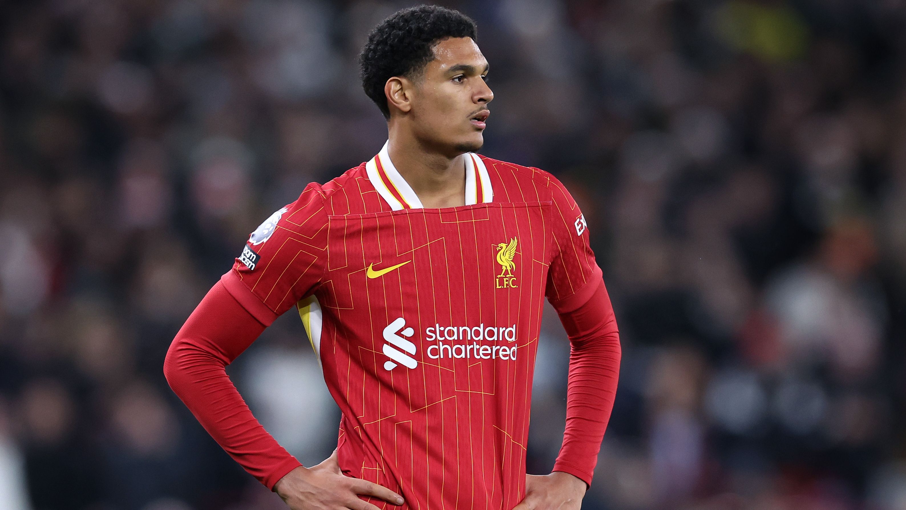 images-v3-getty-2189977985-crop-MM5DGMJXGY5DCNZYG45G433XMU5DGNJTHIYTENI=-GettyImages-2189977985