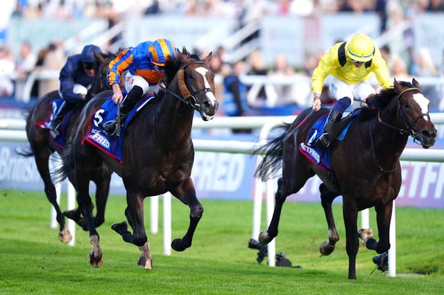 v2-image-production-057c2c0bcf77caf7d4b55e2f29820efbY29udGVudHNlYXJjaGFwaSwxNzU4MTkwNzA4-2.81594013