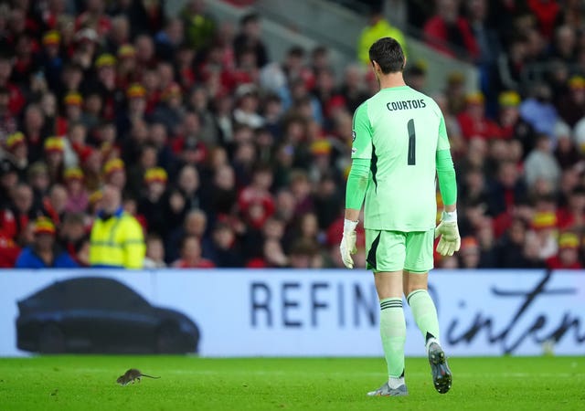 v2-image-production-0eecc26a2ad6d396173bbebf336b65dfY29udGVudHNlYXJjaGFwaSwxNzYwNTIwNjUy-2.81992134