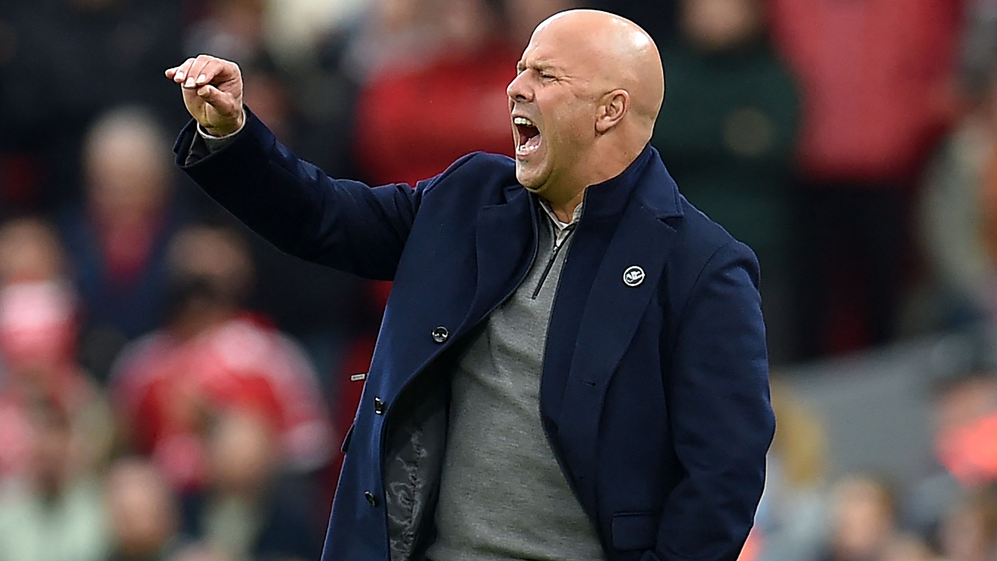 images-v3-getty-2241713826-crop-MM5DGMRQGA5DCOBQGA5G433XMU5DKOJXHI4DI===-GettyImages-2241713826