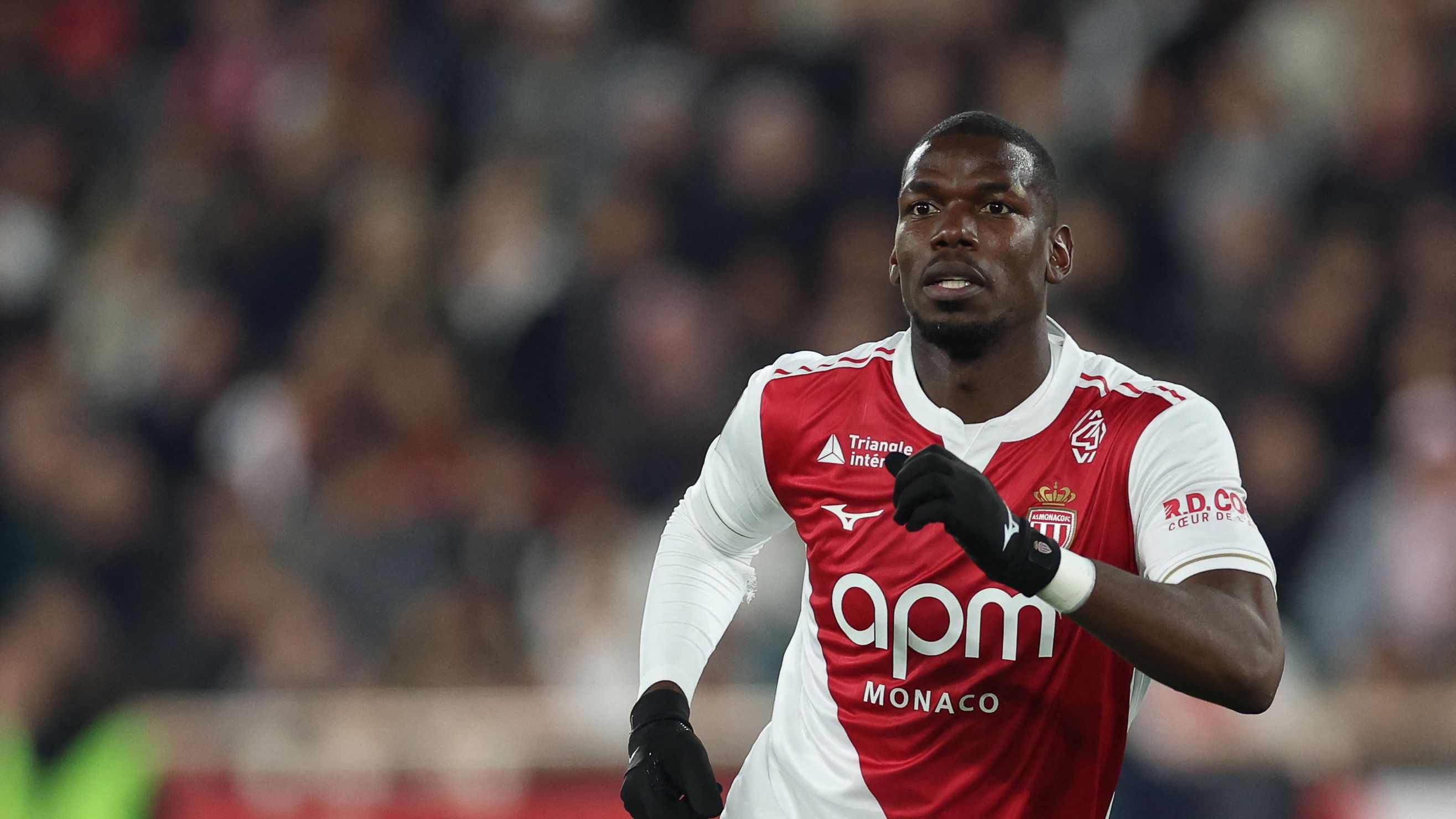 images-v3-getty-2248464526-crop-MM5DENRTGE5DCNBYGA5G433XMU5DAORRGM3Q====-GettyImages-2248464526