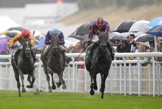 v2-image-production-3427ba348106a8624bfa74f9d6a56275Y29udGVudHNlYXJjaGFwaSwxNzU2ODEwNDI1-2.81146912