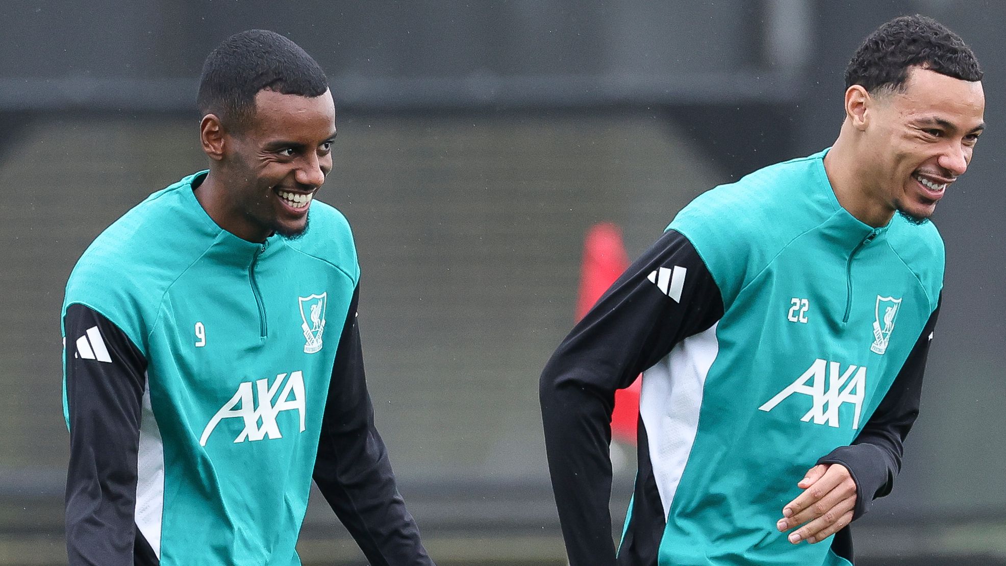 images-v3-getty-2242365841-crop-MM5DCOJXGI5DCMJQHE5G433XMU5DINJQHI2TA===-GettyImages-2242365841