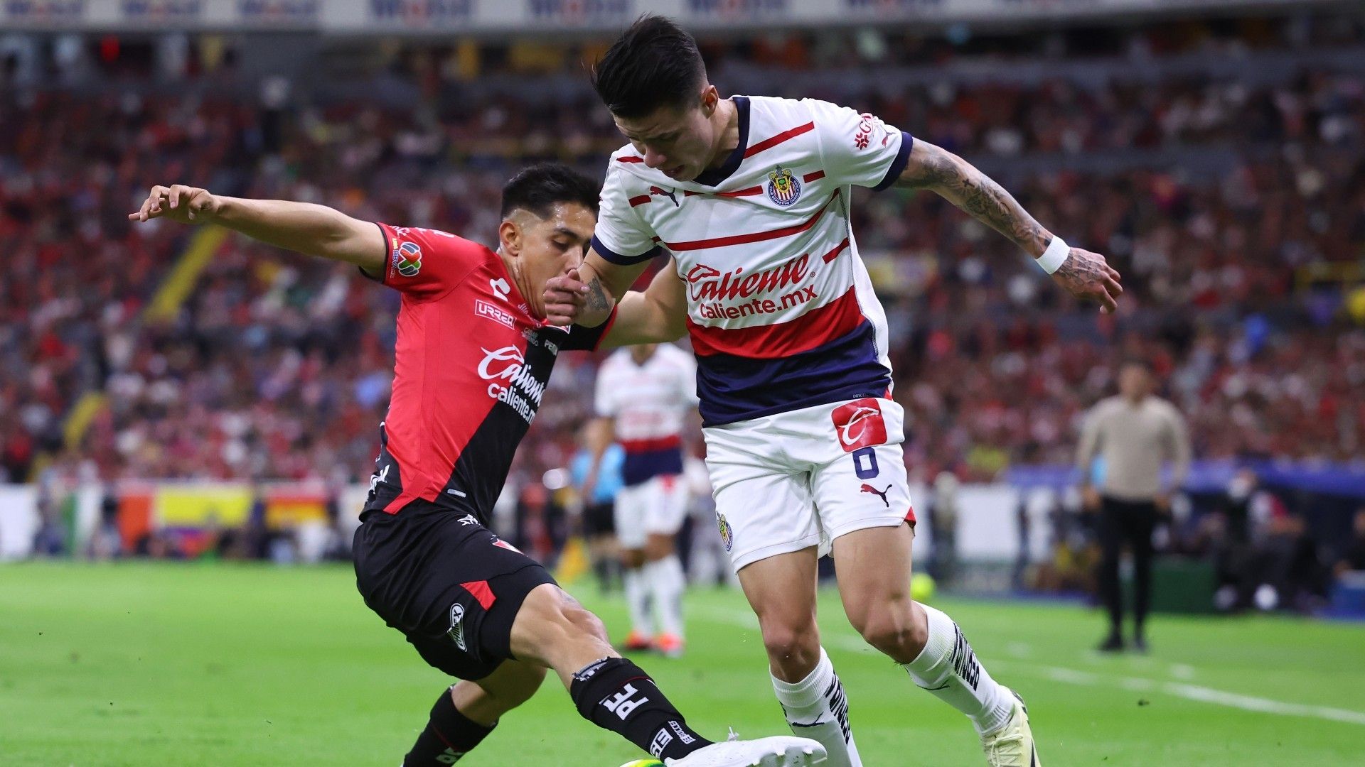 images-v3-blt6355b8261bee6ff2-GettyImages-2149974137_(1)