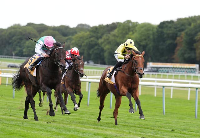 v2-image-production-93f4eebc740697033221dde28704ed6eY29udGVudHNlYXJjaGFwaSwxNzU4ODk3Mjg3-2.81504505