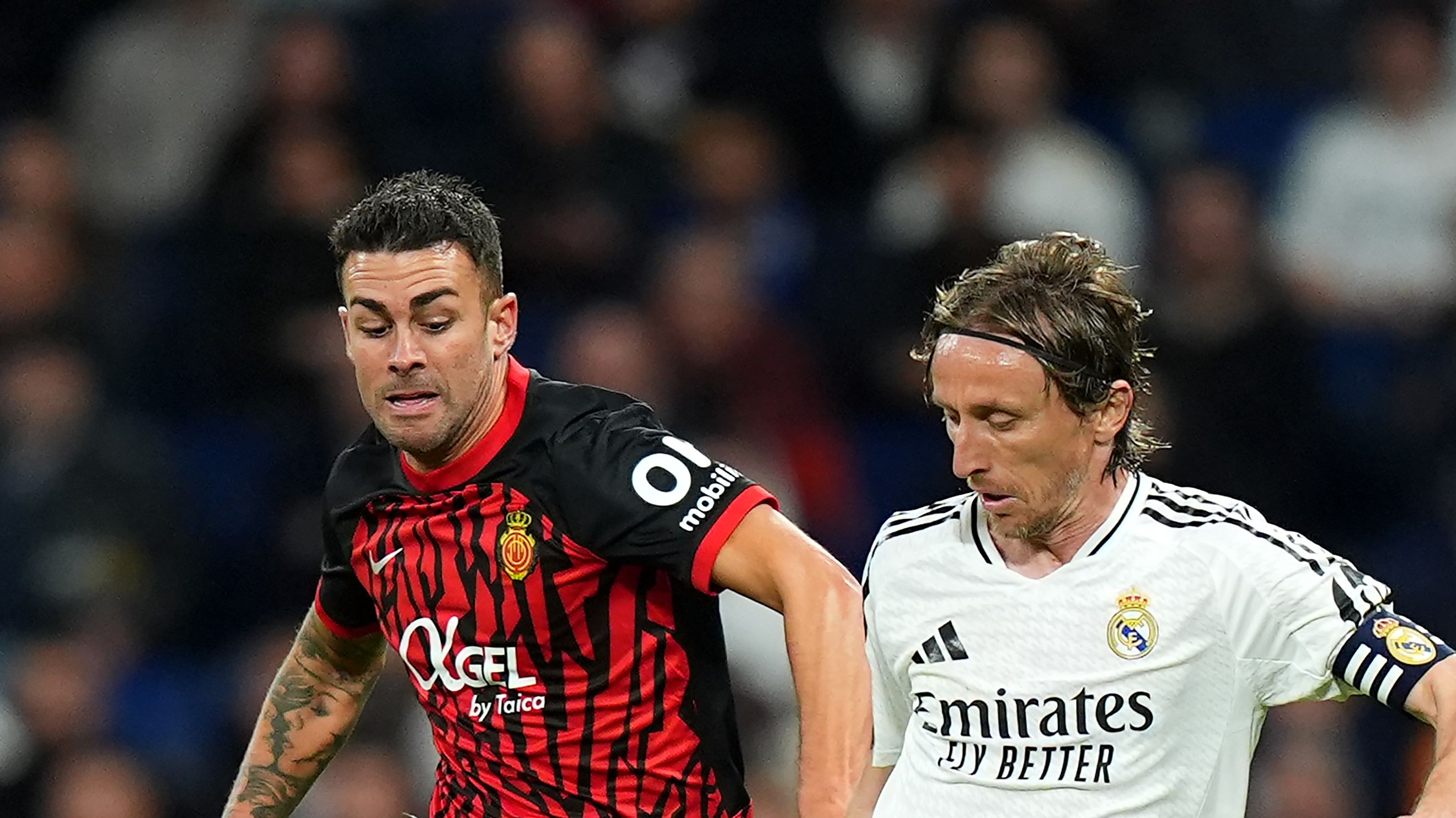 images-v3-getty-2215108165-crop-MM5DENRUGA5DCNBYGU5G433XMU5DCOBWHIZTE===-GettyImages-2215108165