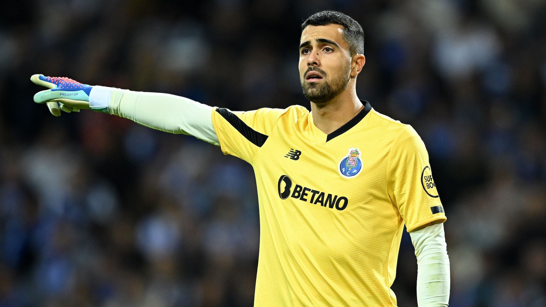 images-v3-bltf4d8cf4ebb102525-crop-MM5DCOBYHA5DCMBWGI5G433XMU5DCMZXHI4DM===-GettyImages-1853048856