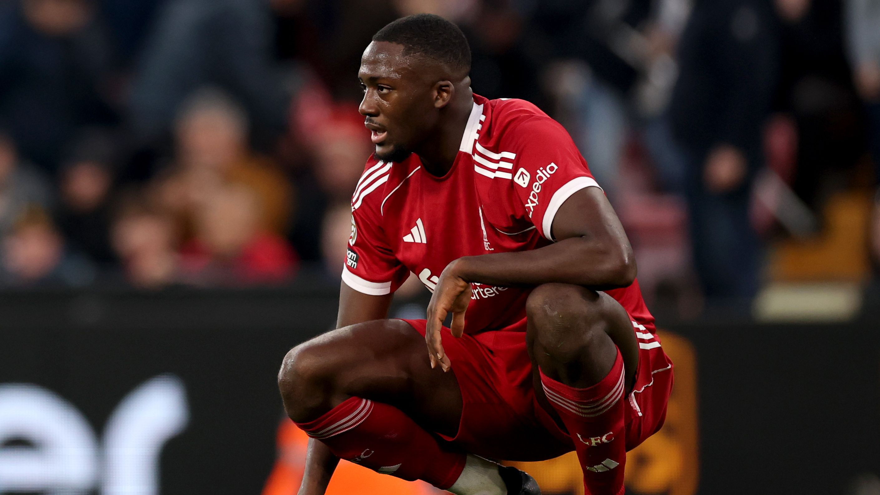 images-v3-getty-2251732588-crop-MM5DEOBSGE5DCNJYG45G433XMU5DAORUG4======-GettyImages-2251732588