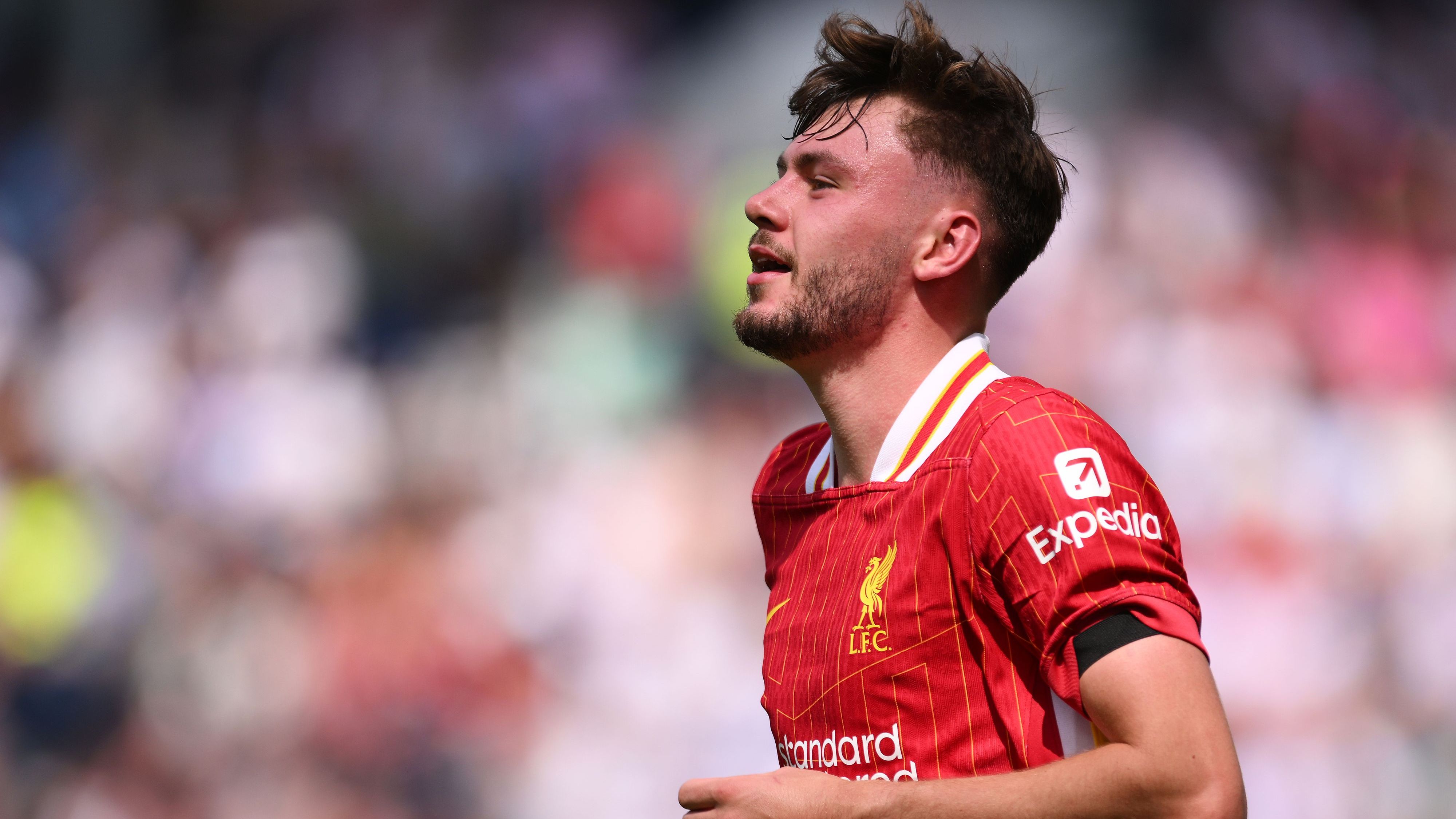 images-v3-getty-2224959240-crop-MM5DIMBQGA5DEMRVGA5G433XMU5DKMRYHI4TE===-GettyImages-2224959240