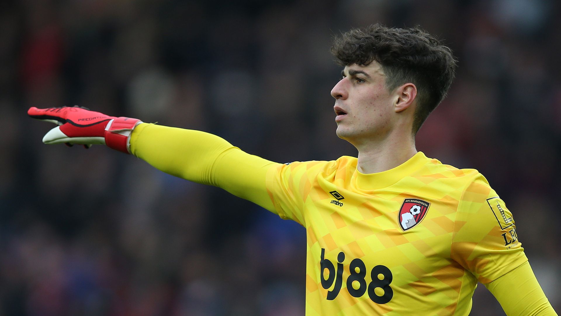 images-v3-blt7e142275e7a473e6-news_2_pc