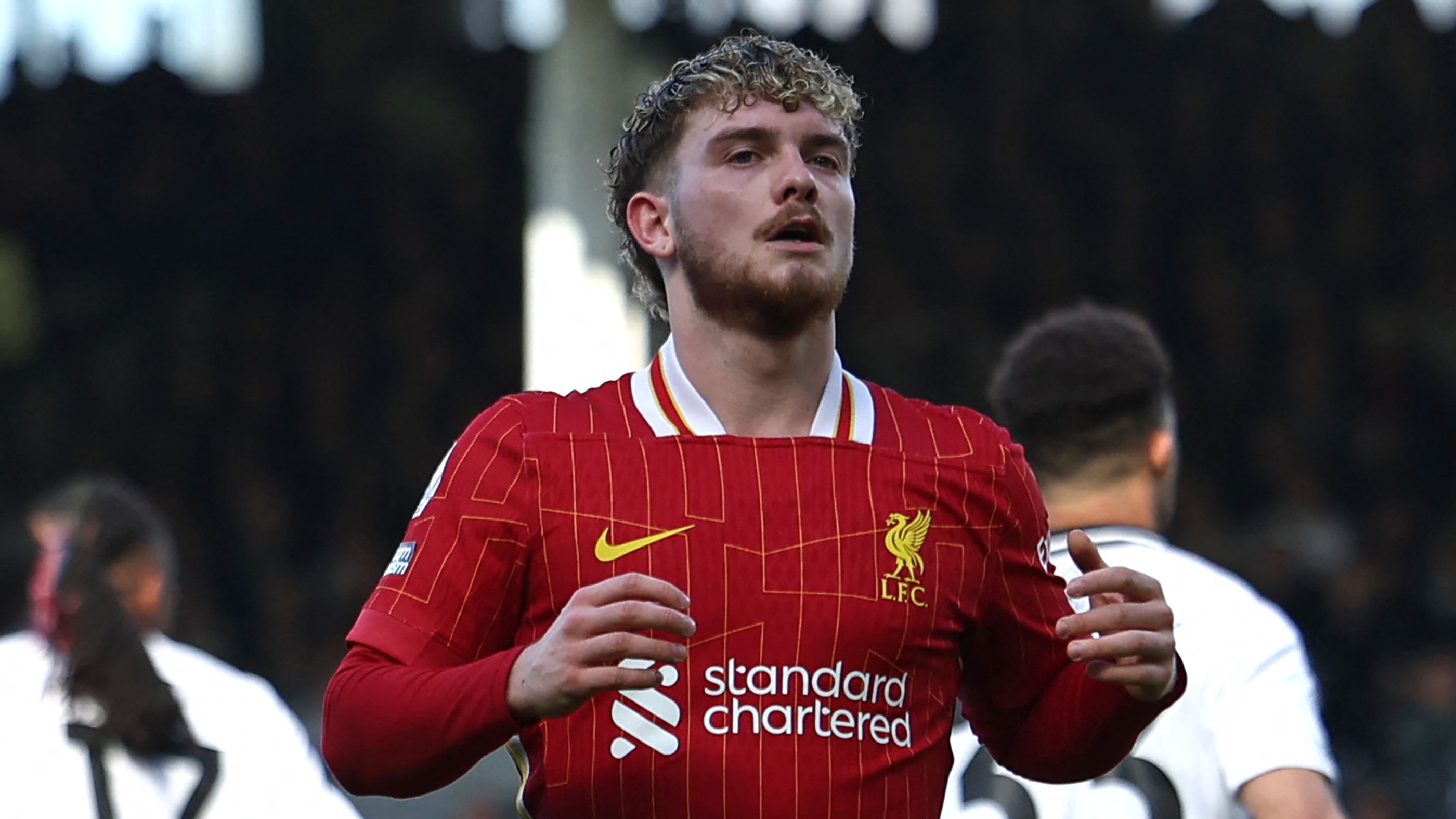 images-v3-getty-2208235746-crop-MM5DEOBQGA5DCNJXGU5G433XMU5DQMB2GQYQ====-GettyImages-2208235746