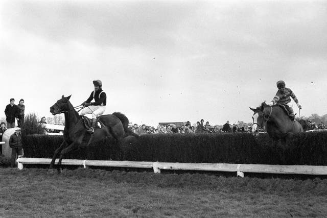 v2-image-production-69e6b2ce9dc1e68a64117fb0ddc8d072Y29udGVudHNlYXJjaGFwaSwxNzY2NDA2NTc4-2.9724041