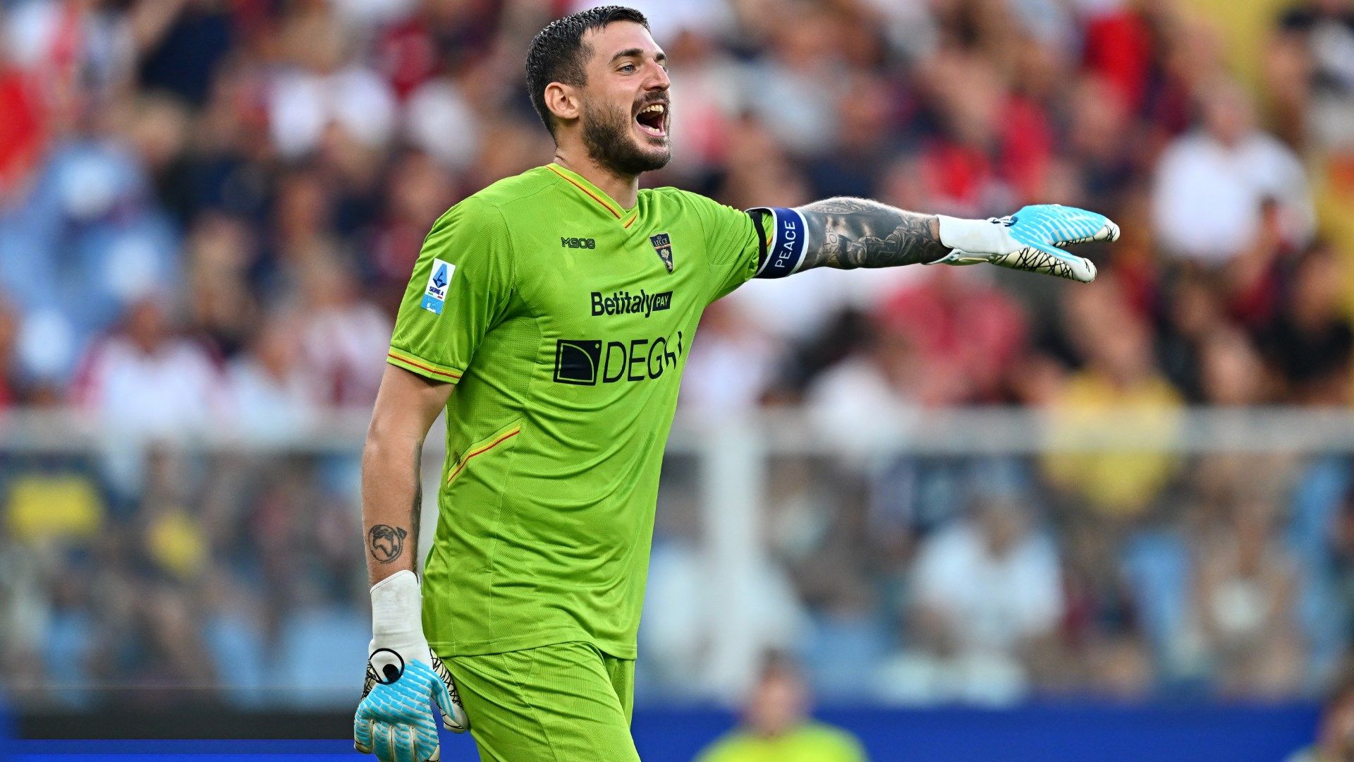 images-v3-bltb82cc5a343c4aed6-Falcone%20Lecce