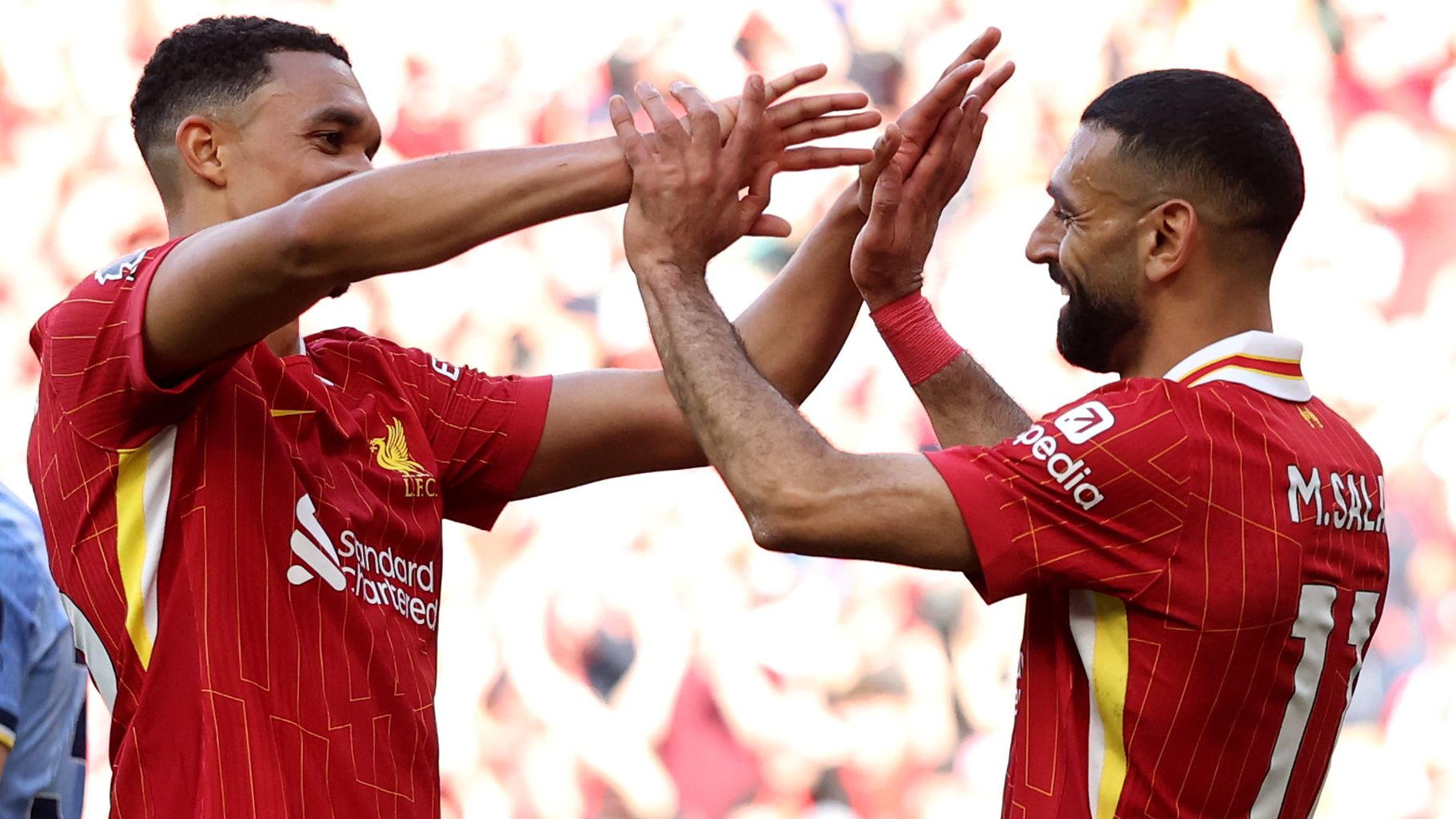 images-v3-getty-2212265909-crop-MM5DCOBSGE5DCMBSGU5G433XMU5DCNJQGA5DEMJV-GettyImages-2212265909