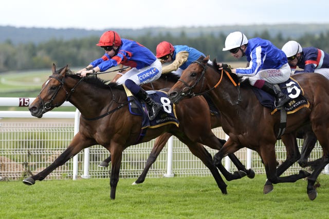 v2-image-production-660be17f0498bec34c95a9f829d2a3a3Y29udGVudHNlYXJjaGFwaSwxNzYxOTEzMjg5-2.81157701