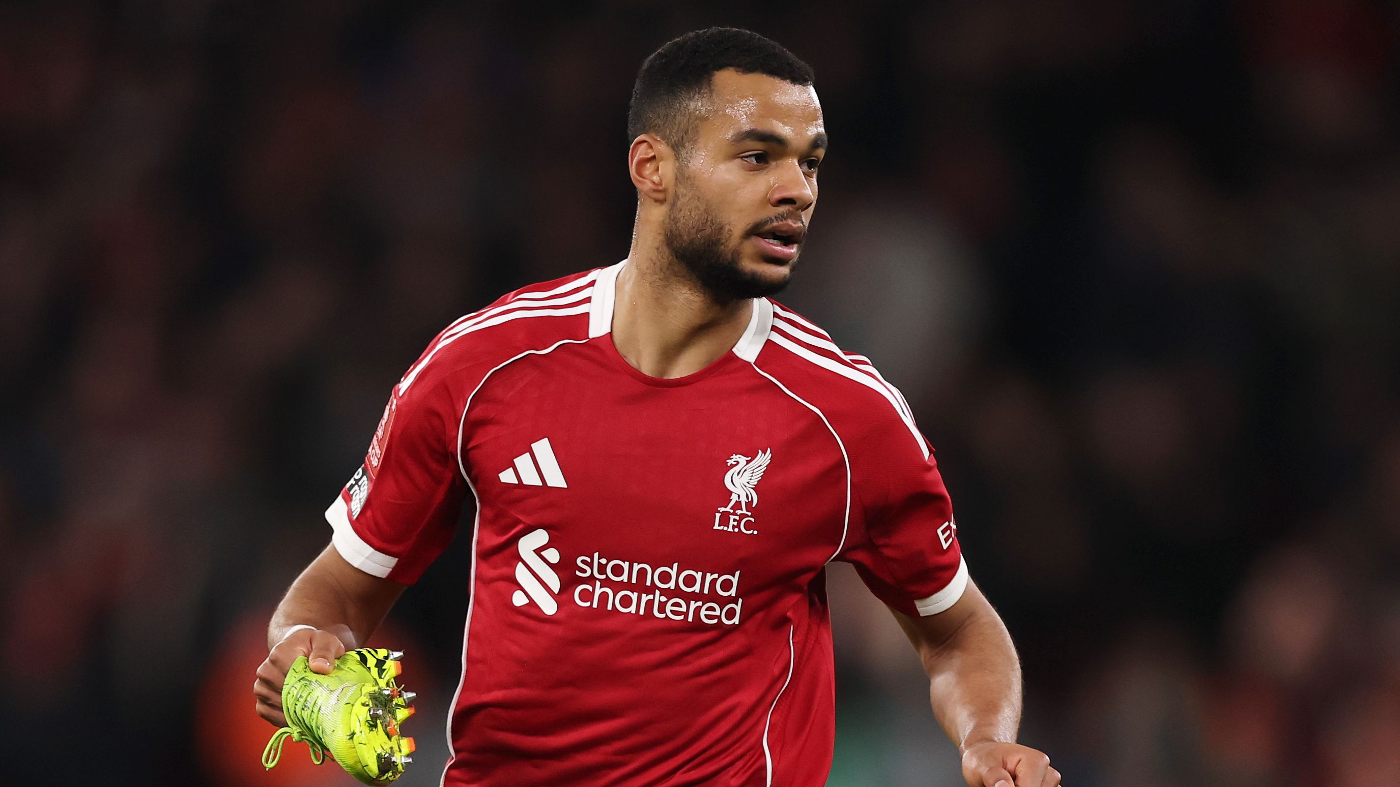 images-v3-getty-2255962146-crop-MM5DENZVGE5DCNJUHA5G433XMU5DIMZ2HEZQ====-GettyImages-2255962146