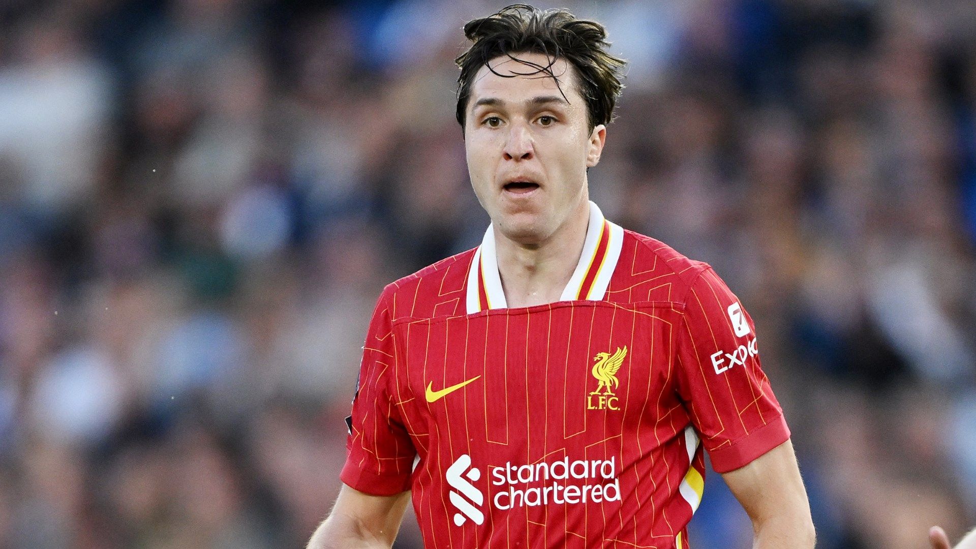 images-v3-blt3b048d220793b808-GOAL%20-%20Blank%20WEB%20-%20Facebook%20-%202025-05-19T224819.756