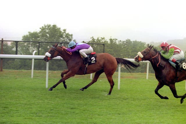 v2-image-production-3ad856499bb7601f3f3ecb432ba67895Y29udGVudHNlYXJjaCwxNTk1MzQwMzc3-2.833872