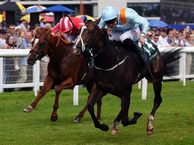 v2-image-production-5600fdf2b5a841e6cb5fc9bf062d7840Y29udGVudHNlYXJjaGFwaSwxNzUzMDI1NDMw-2.81039206