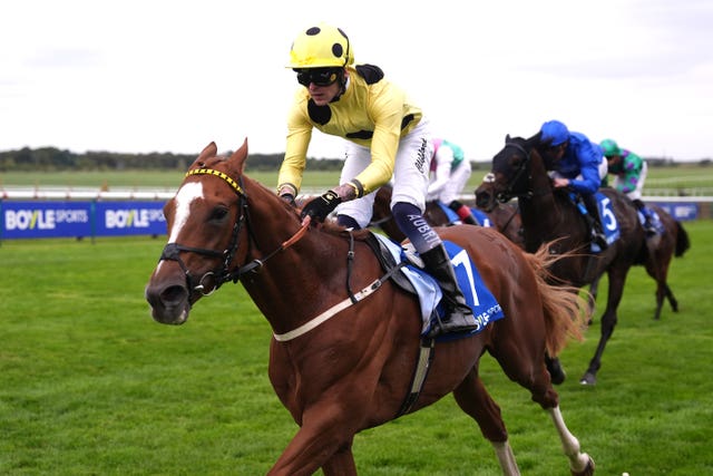 v2-image-production-3eb1cfa69b7baa19b0d1b9d966993167Y29udGVudHNlYXJjaGFwaSwxNzU5NzA0ODE4-2.81762467