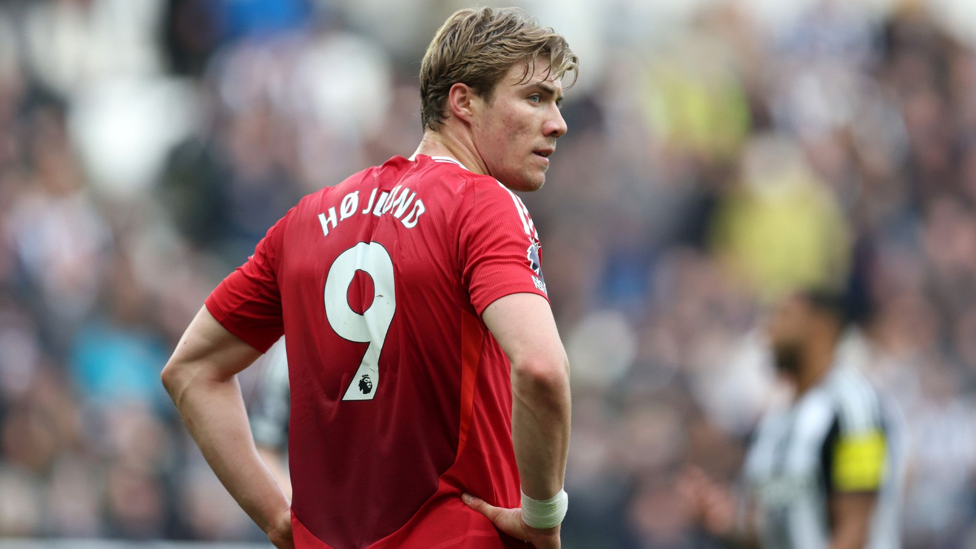 images-v3-blt3db5e9d3f36335ab-GettyImages-2210099332(1)