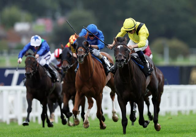 v2-image-production-31ad750ea8fea6458703acb1062f8bd2Y29udGVudHNlYXJjaGFwaSwxNzU2NjUwOTU5-2.81405066